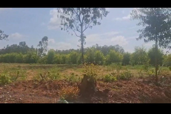 Agricultural/Farm Land for Sale in Doddaballapur, Bangalore (1 Acre)