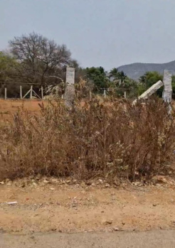 Agricultural/Farm Land for Sale in Doddaballapur, Bangalore (11 Guntha)