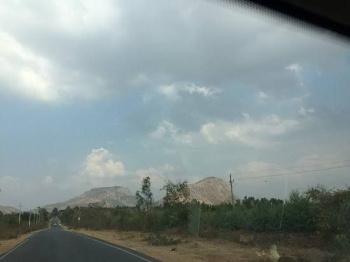Agricultural/Farm Land for Sale in Doddaballapur, Bangalore (1.16 Acre)