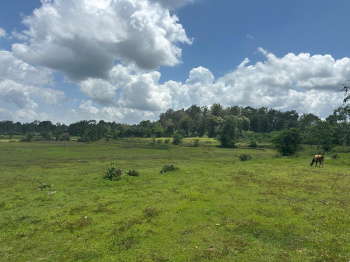 7.5 Acre Agricultural/Farm Land for Sale in Hebbalu, Hassan