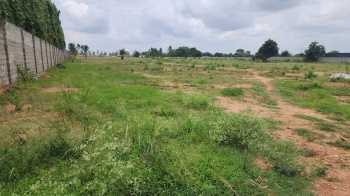 Agricultural/Farm Land for Sale in Devanahalli, Bangalore (1.16 Acre)