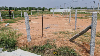 Agricultural/Farm Land for Sale in Devanahalli, Bangalore (1500 Sq.ft.)