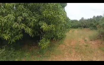 Agricultural/Farm Land for Sale in Ramanagara, Bangalore (3.10 Acre)