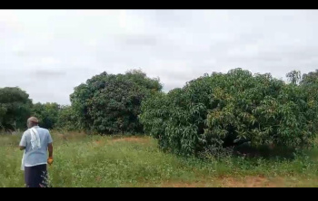 Agricultural/Farm Land for Sale in Ramanagara, Bangalore (2.33 Acre)