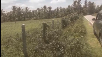 Agricultural/Farm Land for Sale in Aldur, Chikmagalur (3 Acre)