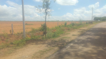 Agricultural/Farm Land for Sale in T Narasipura Road, Mysore (15 Acre)