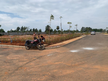 Agricultural/Farm Land for Sale in Devanahalli, Bangalore (2480 Sq.ft.)