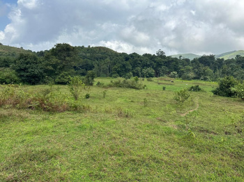 Agricultural/Farm Land for Sale in Mudigere, Chikmagalur (34 Guntha)