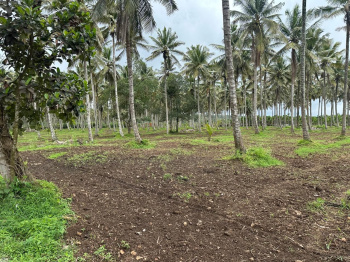 Agricultural/Farm Land for Sale in Alur, Hassan (4 Acre)