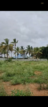 Agricultural/Farm Land for Sale in Doddaballapur, Bangalore (13500 Sq.ft.)