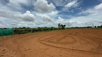 Agricultural/Farm Land for Sale in Doddaballapur, Bangalore (63504 Sq.ft.)