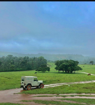 Agricultural/Farm Land for Sale in Sakleshpur, Hassan (11 Acre)