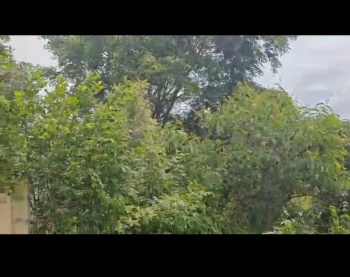 Agricultural/Farm Land for Sale in Ramanagara, Bangalore (1.16 Acre)
