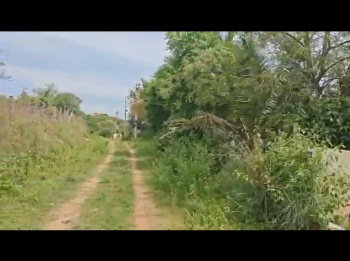 Agricultural/Farm Land for Sale in Ramanagara, Bangalore (18 Acre)
