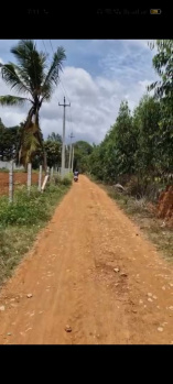 Agricultural/Farm Land for Sale in Doddaballapur, Bangalore (20 Guntha)