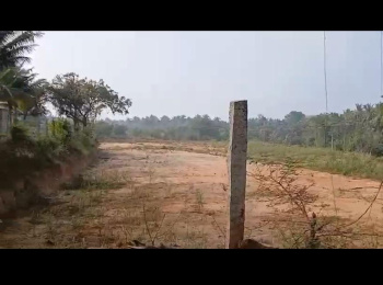 6 Acre Agricultural/Farm Land for Sale in Harlur, Bangalore