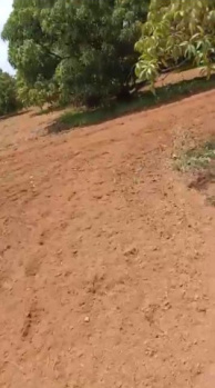 Agricultural/Farm Land for Sale in Channapatna, Bangalore (1.17 Acre)