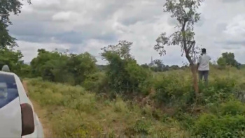 Agricultural/Farm Land for Sale in Malavalli, Mandya (4 Acre)
