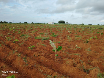 8.5 Acre Agricultural/Farm Land for Sale in BEML Nagar, Mysore