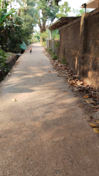 Agricultural/Farm Land for Sale in Brahmavar, Udupi (20.25 Cent)