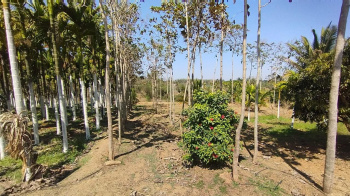 Agricultural/Farm Land for Sale in Nelamangala, Bangalore (2.13 Acre)