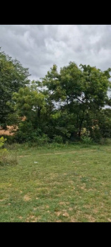 Agricultural/Farm Land for Sale in Doddaballapur, Bangalore (57 Guntha)
