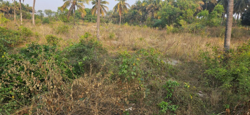182080 Sq.ft. Agricultural/Farm Land for Sale in Ashoka Road, Mysore