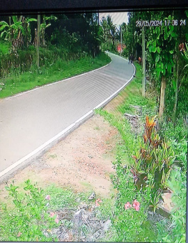 Agricultural/Farm Land for Sale in Sakleshpur, Hassan (5 Acre)