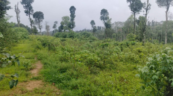 Agricultural/Farm Land for Sale in Belur Hassan, Hassan (137214 Sq.ft.)