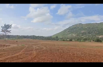 50 Acre Agricultural/Farm Land for Sale in Keelara, Mandya