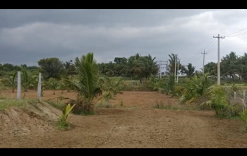 Agricultural/Farm Land for Sale in Maddur, Mandya (3.20 Acre)