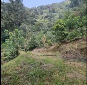 Agricultural/Farm Land for Sale in Madikeri, Kodagu (3 Acre)