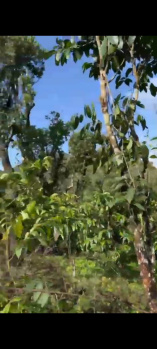 Agricultural/Farm Land for Sale in Madikeri, Kodagu (1.70 Acre)