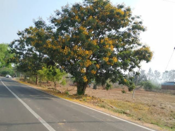 Agricultural/Farm Land for Sale in Doddaballapur, Bangalore (12 Acre)
