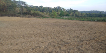 Agricultural/Farm Land for Sale in Mudigere, Chikmagalur (3 Acre)
