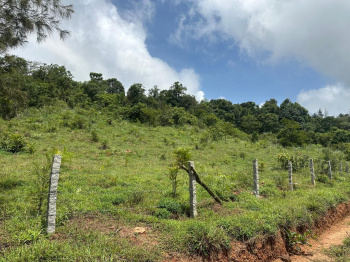 Agricultural/Farm Land for Sale in Mudigere, Chikmagalur (3.31 Acre)