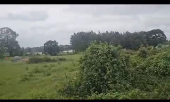 5 Acre Agricultural/Farm Land for Sale in Hebbalu, Hassan