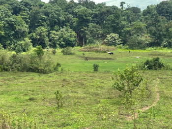 Agricultural/Farm Land for Sale in Mudigere, Chikmagalur (5 Acre)