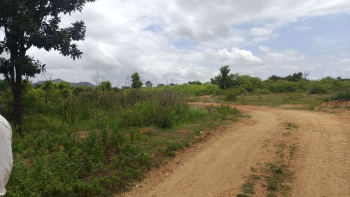 Agricultural/Farm Land for Sale in Malavalli, Mandya (5 Acre)