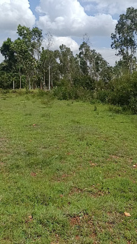 Agricultural/Farm Land for Sale in Malavalli, Mandya (2.30 Acre)