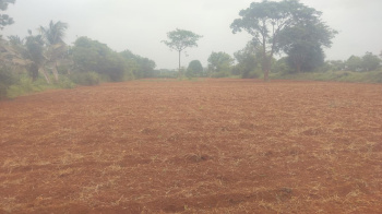 4.36 Acre Agricultural/Farm Land for Sale in Mysore Banglore Highway, Mysore