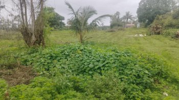 9 Acre Agricultural/Farm Land for Sale in Hebbalu, Hassan
