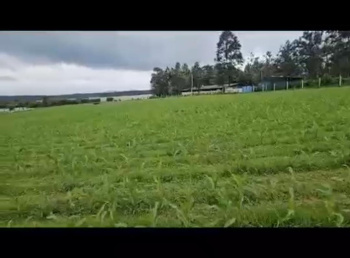 3.5 Acre Agricultural/Farm Land for Sale in Hebbalu, Hassan