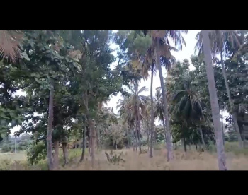 Agricultural/Farm Land for Sale in Kanakapura, Bangalore (3.12 Acre)