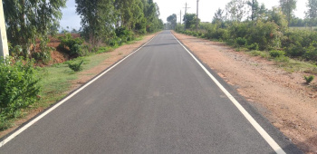 Agricultural/Farm Land for Sale in Vemagal, Kolar (90 Acre)