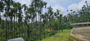 Agricultural/Farm Land for Sale in Sakleshpur, Hassan (73 Acre)