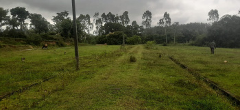 10 Guntha Agricultural/Farm Land for Sale in Joythinagar, Chikmagalur