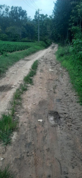 Agricultural/Farm Land for Sale in Mallandur Road, Chikmagalur (2 Acre)
