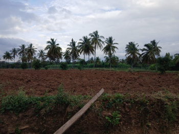 Agricultural/Farm Land for Sale in Kanakapura, Bangalore (20 Acre)