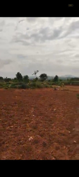 Agricultural/Farm Land for Sale in Kanakapura, Bangalore (44 Guntha)